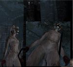  blackwolf cat feline female khajiit pussy solo the_elder_scrolls the_elder_scrolls_v:_skyrim video_games 