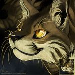  cat feline feral fur lavacat mammal smile whiskers yellow_eyes 