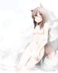  animal_ears blush breasts brown_hair censored convenient_censoring eyebrows_visible_through_hair hair_between_eyes holo long_hair medium_breasts navel nude onsen open_mouth red_eyes rock solo spice_and_wolf steam tail water wet wk_(low-f) wolf_ears wolf_tail 