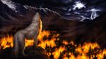  burn canine feral fire forest jocarra lightning mammal mountain night solo storm tree wolf 