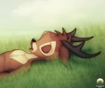  antlers atlasfield bambi drooling horn male saliva sleeping 