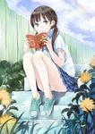  absurdres bad_id bad_pixiv_id blue_eyes book copyright_request fence flower highres low_twintails maigoyaki panties pantyshot pantyshot_(sitting) shoes sitting sitting_on_stairs skirt sky sneakers solo stairs twintails underwear 