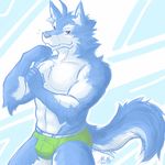  anthro biceps blue_fur briefs brown_eyes bulge canine chest_tuft clothed clothing flexing fur half-dressed looking_at_viewer male mammal muscles pecs pose solo topless tuft underwear unknown_artist wolf 