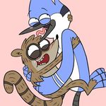  avian bird blue_jay duo male mammal mordecai raccoon regular_show rigby thewardenx3 xiamtheferret 