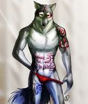  anthro biceps blue_eyes bulge canine chest_tuft fur grey_fur male mammal markings muscles pecs pose solo speedo standing swimsuit tattoo thong toned tongue tongue_out topless tuft underwear unknown_artist white_fur wolf 