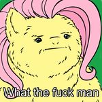  ._. ambiguous_gender cussing english_text equine fluffy fluttershy_(mlp) friendship_is_magic fur hair horse hybrid mammal my_little_pony parody pink_hair pony reaction reaction_image sloth solo stare swearing text unknown_artist what yellow_fur 