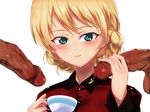  darjeeling girls_und_panzer tagme 