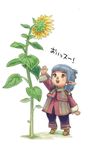 final_fantasy final_fantasy_xi flower pointy_ears quot solo sunflower tarutaru translated 