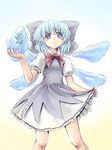  bangs cirno frog ice kakkou solo touhou 