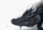  bad_pixiv_id dragon from_side houmuari monster no_humans original profile sharp_teeth simple_background teeth upper_body white_background 