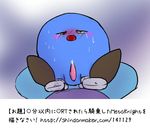  blue_skin blush crying cute drooling gloves kirby kirby_(series) knight lucario male meta_knight nintendo open_mouth penis pok&#233;mon porkyman saliva sumidou sweat text translation_request video_games 