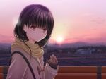  amagami ayatsuji_tsukasa black_hair blush brown_eyes coat enpera long_hair looking_at_viewer scarf shitou_(4h) smile solo sunrise 