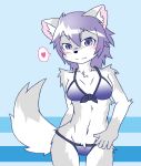  &lt;3 2015 acky05_(artist) blush breasts canid canine clothed clothing female fluffy fluffy_tail fur grey_fur habd_on_hip hair looking_at_viewer mammal purple_eyes purple_hair solo speech_bubble standing swimsuit white_fur 