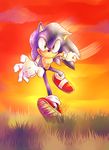  blue_hair field grass green_eyes hair hedgehog male mammal outside sega solo sonic_(series) sonic_the_hedgehog sunset 