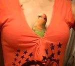  avian beak bird cleavage clothed clothing female human low_res mammal real 
