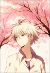  cherry_blossoms hasegawa_(yonbunnoichi) male_focus nagisa_kaworu neon_genesis_evangelion red_eyes solo white_hair 