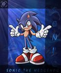  blue_hair canine fox green_eyes hair hedgehog male mammal miles_prower sega solo sonic_(series) sonic_the_hedgehog 