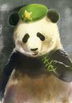  beret hat hong_meiling hong_meiling_(panda) leaf mitsuki_yuuya no_humans open_mouth panda solo star touhou wall 