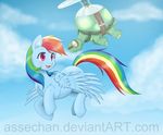  equine female feral friendship_is_magic hi_res horse mammal my_little_pony pegasus pet pony rainbow_dash_(mlp) tank_(mlp) tortoise wings 