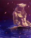 flower_petals male mammal solo topless unknown_artist water wbcat wolf 