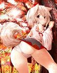  animal_ears ass autumn_leaves bare_shoulders blush detached_sleeves from_behind hat inubashiri_momiji inyucchi panties red_eyes solo tail tokin_hat touhou tree underwear white_hair white_panties wolf_ears wolf_tail 
