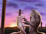  anthro biceps blue_eyes canine chest_tuft cloud couple duo fay fur gay girly grey_fur jewelry love male mammal mountain muscles nude pecs pose ring romantic smile sunset tender toned tuft unknown_artist urban white_fur wolf yellow_eyes zethvalg 