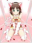  amami_haruka animal_ears blush breasts brown_hair cat_ears cat_tail cleavage confetti cosplay green_eyes hair_ribbon highres idolmaster idolmaster_(classic) idolmaster_cinderella_girls maekawa_miku maekawa_miku_(cosplay) medium_breasts nitoro-star paws ribbon shorts sitting smile solo tail 