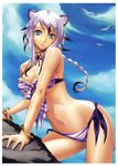  absurdres animal_ears bikini bird blue_eyes bracelet braid cat_ears cloud copyright_request day eiwa front-tie_top highres jewelry purple_hair rock side-tie_bikini silver_hair sky solo swimsuit 