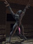  2009 3d 4_fingers abs alien balls bdsm biceps black_jackal bound claws erection eyes_closed halo halo_(series) male muscles nude pecs penis sangheili solo two_toes vein video_games 