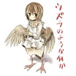  blush brown_hair copyright_request feathered_wings feathers full_body harpy looking_at_viewer low_wings monster_girl simple_background solo standing translation_request white_background wings yudepii 