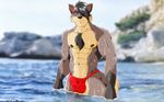  abs anthro biceps big_muscles bulge canine chest_tuft fabfelipe fur looking_at_viewer male mammal muscles pecs red_eyes solo speedo swimsuit thong tuft underwear water wolf 