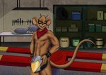  alien biker_mice_from_mars eyewear helmet male mammal mouse rodent scarf solo throttle 