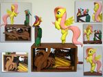  avian bird equine female feral fluttershy_(mlp) friendship_is_magic horse mammal my_little_pony pegasus pony real renegadecow wings 