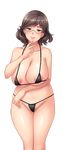  1girl bbw breasts character_request large_breasts mario_(artist) simple_background smile solo source_request 