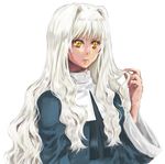  bad_id bad_pixiv_id caren_hortensia curly_hair fate/stay_night fate_(series) higi_(rodriguez) long_hair lowres nun solo white_hair yellow_eyes 