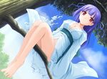 bad_feet barefoot blue_hair breasts cleavage f&amp;c game_cg in_tree izumi_yuujirou japanese_clothes kimono large_breasts long_hair red_eyes sitting sitting_in_tree solo torn_clothes tree 