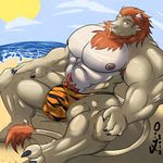 abs anthro beach biceps big_muscles blue_eyes bulge chest_tuft chieftain claws cloud clouds doomix feline fur huge_muscles lion looking_at_viewer lying male mammal mane muscles nipples paws pecs pose sand sea seaside sidern sidern_brethencourt smile solo speedo spread_legs spreading sun swimsuit tuft underwear water 