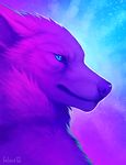  ambiguous_gender blue_eyes canine falvie fur mammal purple_fur sky solo stars wolf 