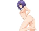  ass blush breasts nipples nude purple_hair sairenji_haruna short_hair to_love_ru transparent uncensored vagina vector wet 