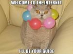  balloons cat feline humor text 
