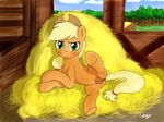 anus applejack_(mlp) barn blonde_hair blush clitoral_winking clitoris cowboy_hat equine female feral friendship_is_magic green_eyes hair hat hay horse laptopgun long_hair looking_at_viewer mammal my_little_pony pony presenting pussy pussy_juice raised_leg reclining smile solo spread_legs spreading toony 