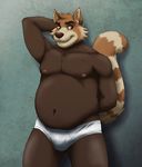  arm_behind_head arms_behind_back belly biceps briefs brown_eyes brown_fur brown_nose bulge chubby flexing front fur furrybob looking_at_viewer male mammal muscles navel nipples overweight pecs pink_nipples pose red_panda ringed_tail solo standing teeth topless underwear 