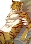  &#12420;&#12414;&#12369;&#12540; ???? biceps black_fur claws feline fur looking_at_viewer male mammal muscles nipples nude orange_fur pecs smile solo tiger white_fur 