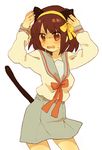  animal_ears blush brown_eyes brown_hair cat_ears cat_tail hair_ribbon hairband highres kemonomimi_mode kita_high_school_uniform non-web_source ribbon school_uniform serafuku short_hair solo suzumiya_haruhi suzumiya_haruhi_no_yuuutsu tail wamochi 