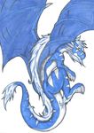 blue_body blue_hair dragon feral flying hair horn male plain_background scalie solo tylon tylon_(character) white_background wings 