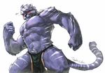  anthro biceps big_muscles blush body_markings bulge chest_tuft clothed clothing feline flexing fur hair half-dressed loincloth male mammal markings muscles orange_eyes pecs plain_background pose purple_fur solo standing stripes tiger tigerdai topless tuft underwear white_background white_fur white_hair 