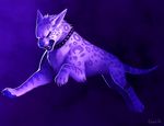  blue_eyes collar cool_colors falvie feline fur leopard mammal purple_fur purple_theme solo 