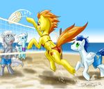  beach bikini blue_hair clothed clothing dialog dialogue english_text equine female feral friendship_is_magic green_eyes hair horse male mammal my_little_pony outside pegasus pluckyninja pony seaside skimpy smile soarin_(mlp) spitfire_(mlp) swimsuit text tight_clothing timber_(artist) two_tone_hair volleyball wings wonderbolts_(mlp) 