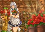  apron blue_dress blue_eyes boots bow braid carrying collared_shirt commentary_request dress flower gardening green_dress greenhouse hair_bow hair_ribbon hat holding hong_meiling indoors izayoi_sakuya lamp long_hair maid maid_headdress multiple_girls neck_ribbon open_mouth plant potted_plant red_flower red_hair red_rose ribbon rose shelf shirt short_hair short_sleeves shovel silver_hair star sunlight touhou twin_braids vest waist_apron watering_can yagimiwa 