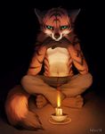  candle clothing falvie feline fire fur looking_down male mammal orange_fur pants solo tiger 